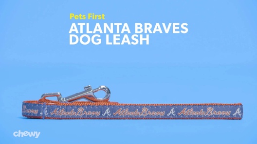 Play Video: Learn More About Pets First From Our Team of Experts
