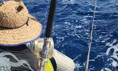 Shawn and Joe did great 