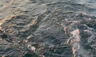 Erie Report Video 0