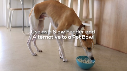 LICKIMAT Wobble Slow Feeder Dog Bowl, Turquoise