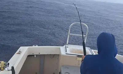 West Bay Report Video 1