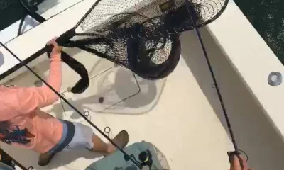 Poquoson Verslag Video 0