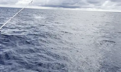 Golfo Dulce Report Video 4