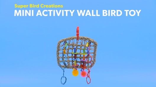Play Video: Learn More About Super Bird Creations From Our Team of Experts