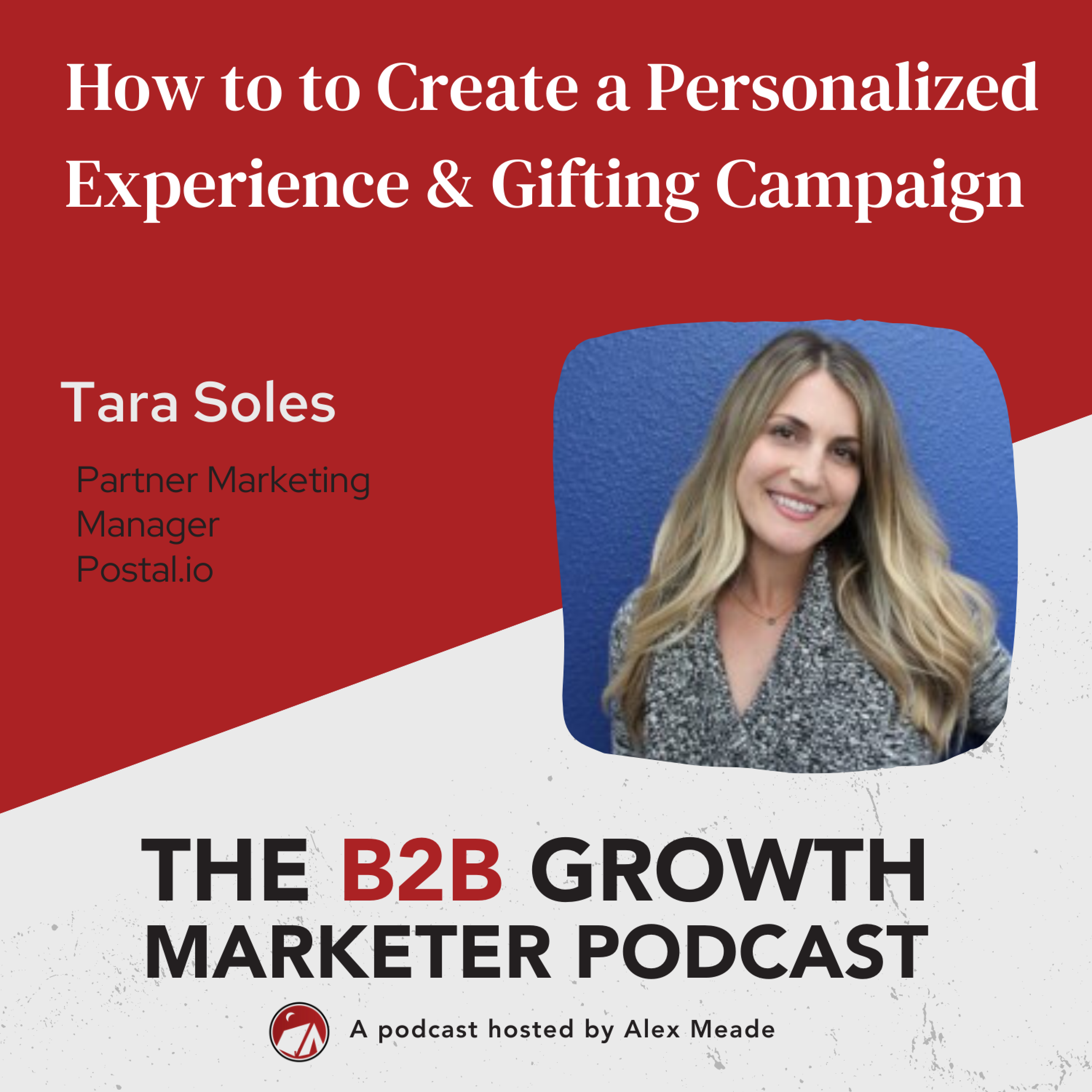 The B2B Growth Marketer