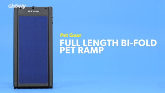 Play Video: Learn More About Pet Gear From Our Team of Experts