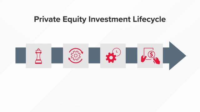 managed dsip ii equity strategy 2026 Private insights and data snapshots Private Equity Data Management Software