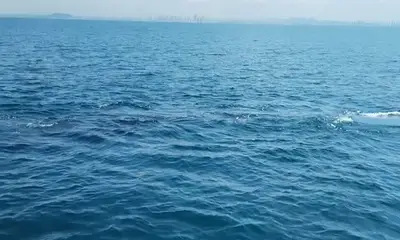 Panama City Report Video 0