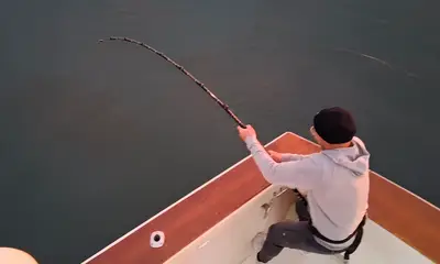 California Report Video 1