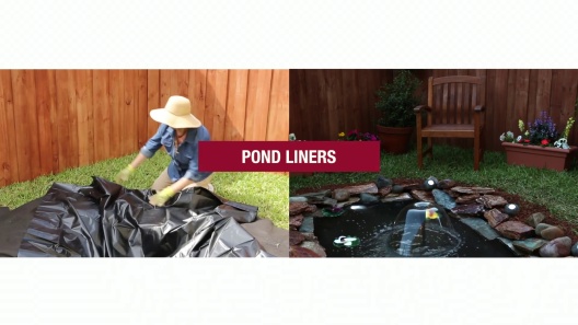 Play Video: Learn More About Pond Boss From Our Team of Experts