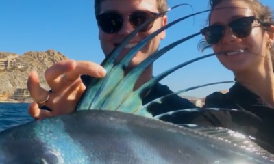 Cabo San Lucas Report Video 2