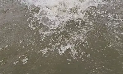 Jefferson Parish Report Video 2
