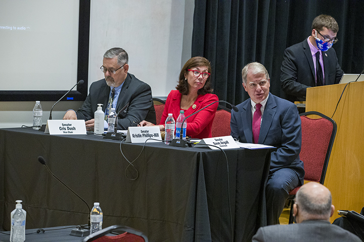 8/4/21 - State Government Committee