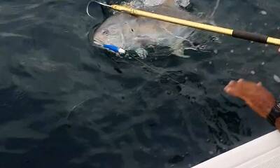 Panama City Report Video 1