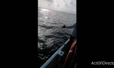 San Miguel De Cozumel Report Video 0