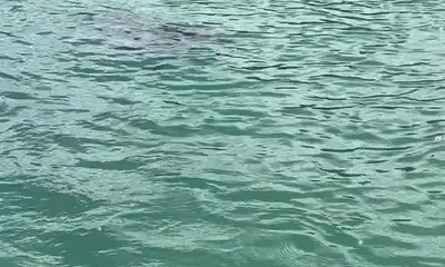 Excellent day of Fishing!