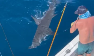 Pompano Beach Report Video 0