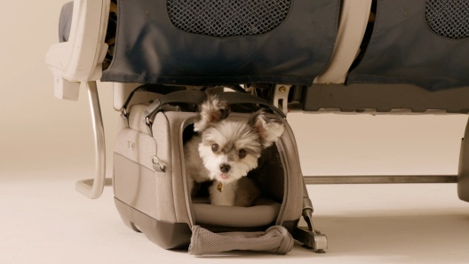 Tavo Pets Dupree II Airline Carry-On Dog & Cat Car Seat