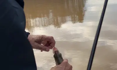 Atlanta Report Video 0