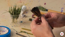 Lesson image