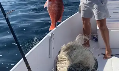 Orange Beach Report Video 0