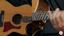 Lesson image