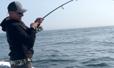 Chatham Report Video 0