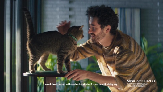 NexGard COMBO Topical for Cats, 5.6-16.5 lbs. (Yellow Box)