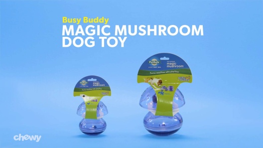 PetSafe Busy Buddy Magic Mushroom Dog Toy, Medium/Large