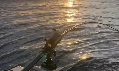 Sooke Report Video 0