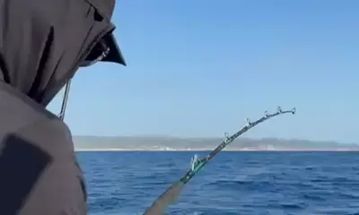 San Jose del Cabo Report Video 0