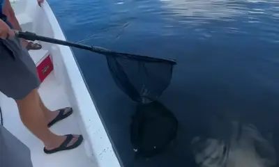 Tight Line is the way to go!!