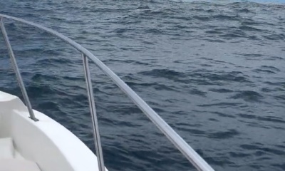 Herradura Report Video 1