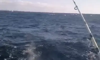 Playa Del Carmen Report Video 0