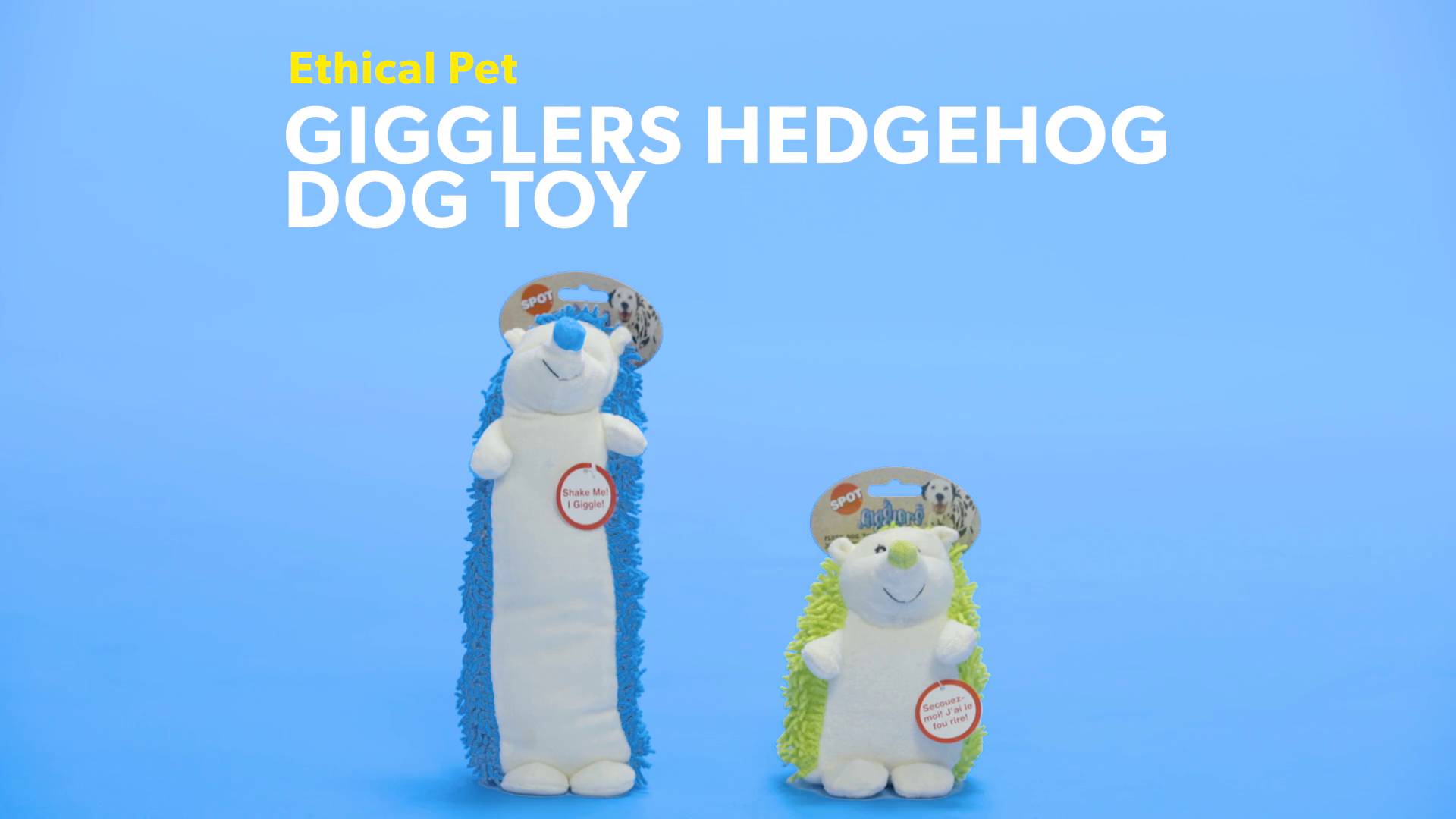 Case of 6 Aspen Pet  Multicolored  Hedgehog  Plush  Hedgehog Dog Toy  Medium 
