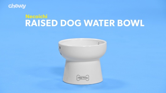 Necoichi Raised Dog Water Bowl