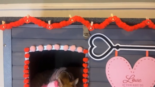 Aivituvin Insulated Liner Inside Outdoor Dog House