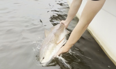 great fishing 
