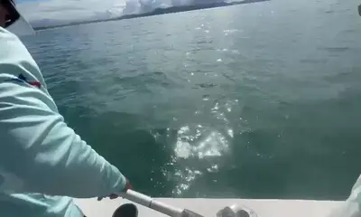 Vacation fishing with the family 