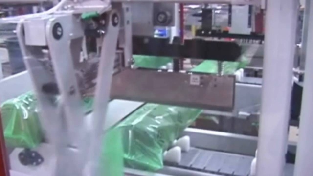 Roll Wrapper: Rolled Rugs (SV173)