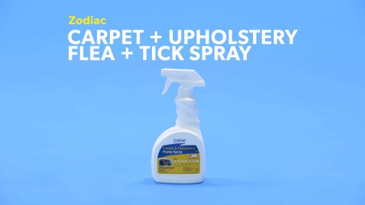 Zodiac Carpet & Upholstery Aerosol Spray - 16 oz