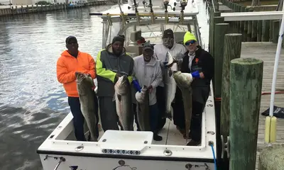 Lacey Township Bericht Video 0
