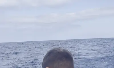 Olhão Report Video 2