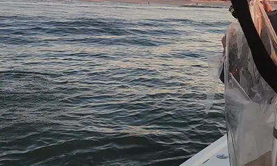 Mastic Report Video 3