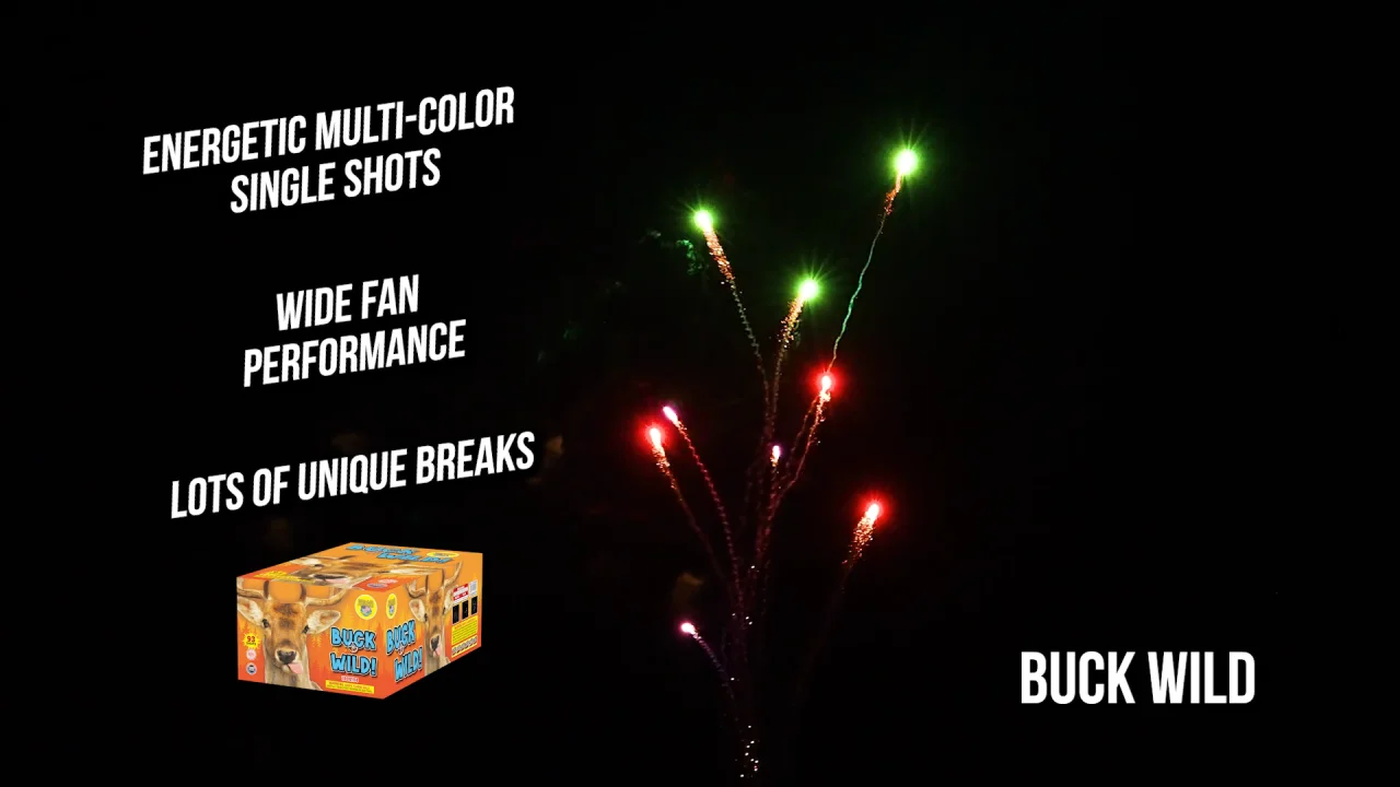 Jake's Fireworks