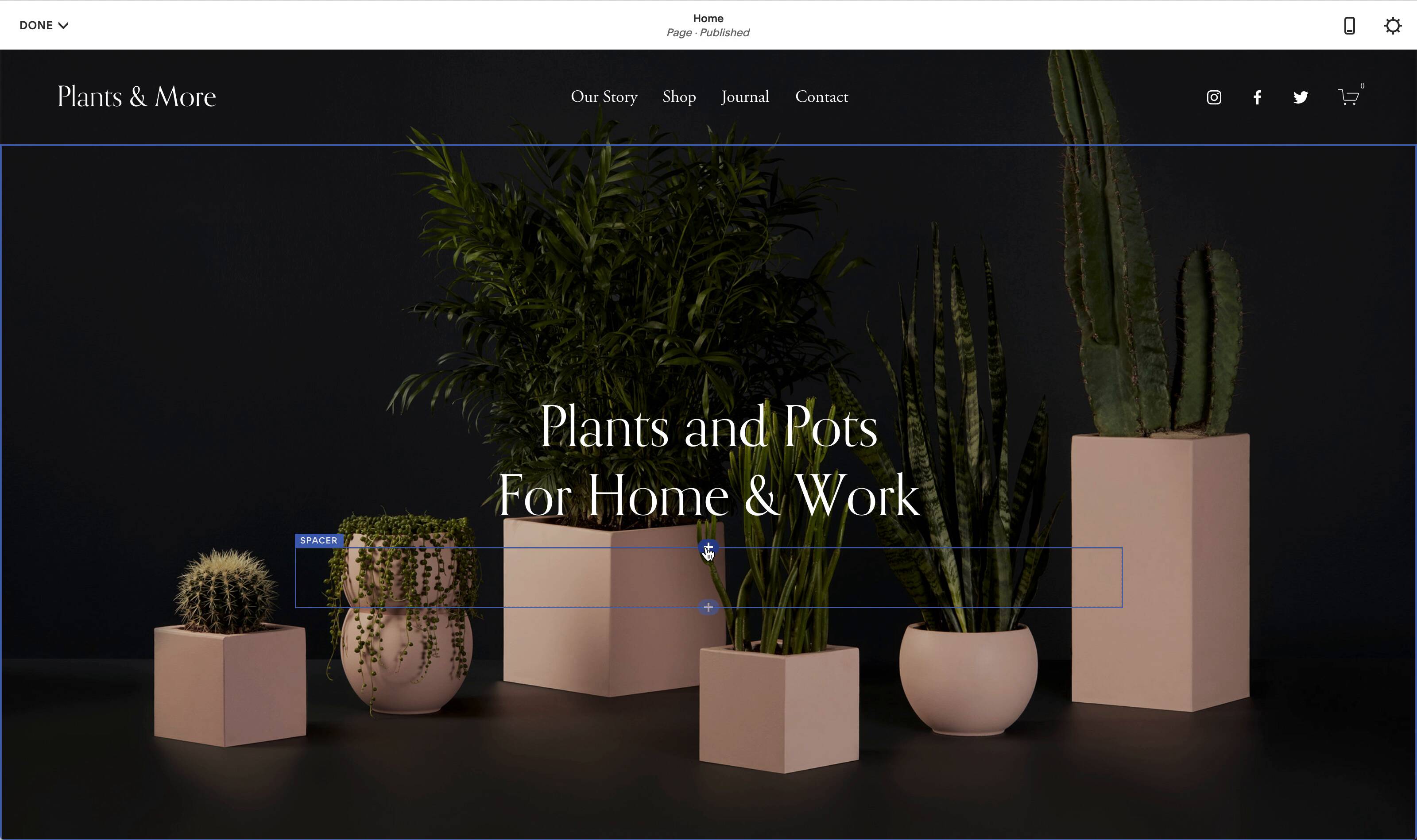 The Best Photography Website Builder In 2024