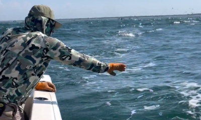 Jacksonville Report Video 0
