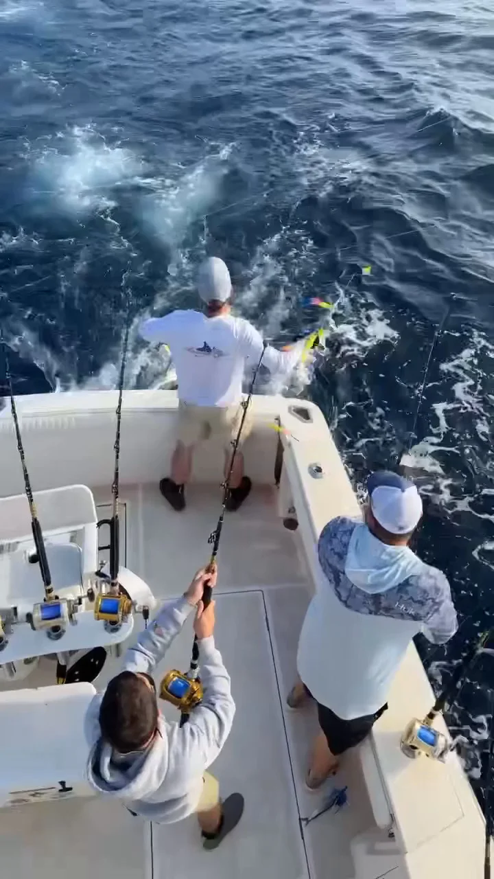 Business Card: Split Bill Sportfishing