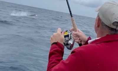 Miami Beach Report Video 0