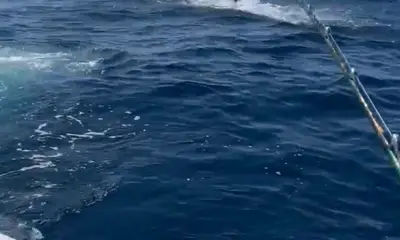 San Jose del Cabo Report Video 0